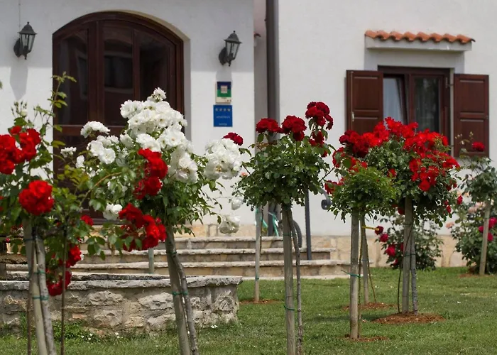 Apartman Linet 7- By Interhome Funtana